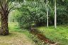Land for sale in Thep Krasatti, Phuket