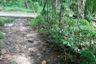 Land for sale in Pa Khlok, Phuket
