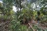 Land for sale in Bang Khun Si, Bangkok near MRT Fai Chai