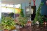 3 Bedroom Townhouse for sale in Baan Pruksa 88 Bangpoo-Phraek Sa, Phraek Sa Mai, Samut Prakan