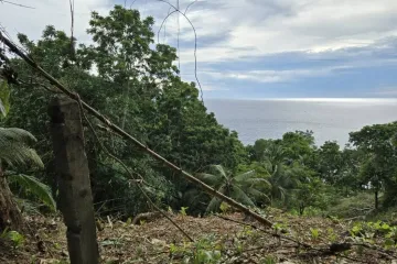 Land for sale in Karon, Phuket
