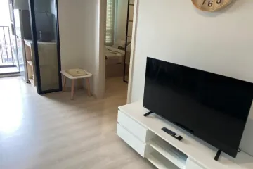 1 Bedroom Condo for rent in Nue Noble Srinakarin - Lasalle, Samrong Nuea, Samut Prakan near MRT Si La Salle