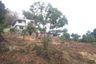Land for sale in Rawai, Phuket