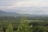 Land for sale in Mai Khao, Phuket