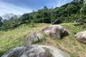Land for sale in Kamala, Phuket