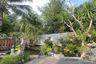 4 Bedroom House for Sale or Rent in Wichit, Phuket