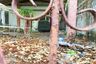 Land for sale in Suan Luang, Bangkok