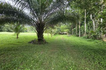 Land for sale in Thep Krasatti, Phuket