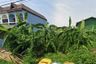 Land for sale in Bang Phli Yai, Samut Prakan