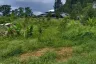Land for sale in Thap Prik, Krabi