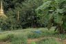 Land for sale in Thap Prik, Krabi