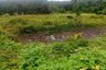Land for sale in Thep Krasatti, Phuket
