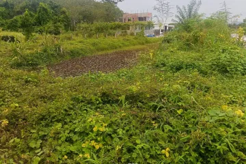 Land for sale in Thep Krasatti, Phuket