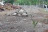 Land for sale in Talat Yai, Phuket