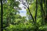 Land for sale in Ko Yao Noi, Phang Nga