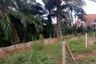 Land for sale in Krabi Yai, Krabi