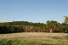 Land for sale in Sakhu, Phuket