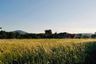 Land for sale in Sakhu, Phuket
