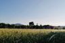 Land for sale in Sakhu, Phuket