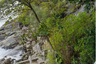 Land for sale in Kamala, Phuket