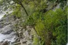 Land for sale in Kamala, Phuket