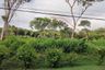 Land for sale in 