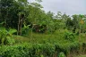 Land for sale in Mai Khao, Phuket