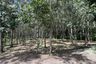 Land for sale in Si Sunthon, Phuket