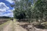 Land for sale in Si Sunthon, Phuket