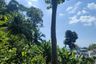 Land for sale in Ao Nang, Krabi