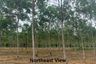 Land for sale in Khok Kloi, Phang Nga