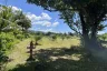 Land for sale in Khuekkhak, Phang Nga