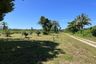 Land for sale in Khuekkhak, Phang Nga