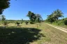 Land for sale in Khuekkhak, Phang Nga