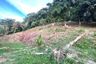 Land for sale in Patong, Phuket