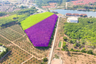Land for sale in Si Sunthon, Phuket