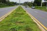 Land for sale in Bang Muang, Phang Nga