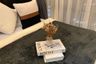 1 Bedroom Condo for rent in Infinite Moff Metro Sky Bangsue Prachachuen, Wong Sawang, Bangkok near MRT Bang Son