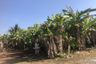 Land for sale in Khok Kloi, Phang Nga