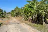 Land for sale in Khok Kloi, Phang Nga