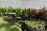 3 Bedroom House for rent in Supalai Garden Ville Phuket, Pa Khlok, Phuket