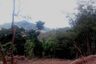 Land for sale in Kamala, Phuket