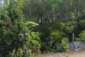Land for sale in Choeng Thale, Phuket