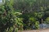 Land for sale in Choeng Thale, Phuket