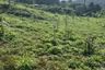 Land for sale in Karon, Phuket
