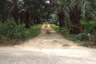 Land for sale in Bang Muang, Phang Nga