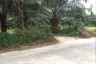 Land for sale in Bang Muang, Phang Nga