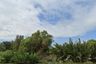 Land for sale in Ban Khlong Suan, Samut Prakan