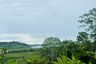 Land for sale in Thep Krasatti, Phuket