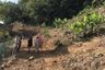 Land for sale in Rawai, Phuket